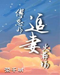 傅总的追妻火葬场 水小月