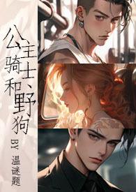 公主和骑士是什么意思