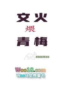 文火煨青梅(甜宠h)作者