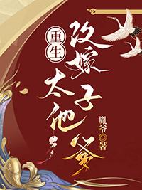 太子妃改嫁