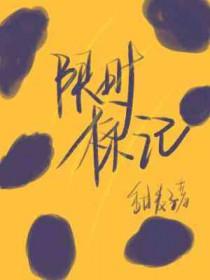 限时标记by甜麦子车在第几章