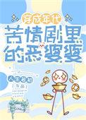 恶婆婆系列电视剧