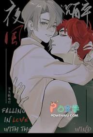 夜风轻轻