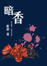 暗香(舅甥)全文阅读