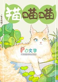 捡到流浪猫一直叫怎么办