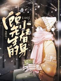 顾先生的小温柔晋江