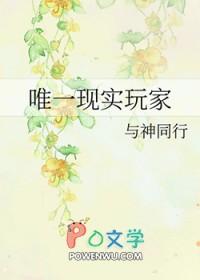 唯一现实玩家TXT百度