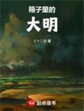 箱子里的秘密的故事