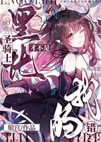 黑化圣骑士免费