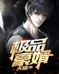 极品豪婿林隐TXT