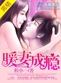 暖妻成瘾韩禛全书免费阅读全文无弹窗