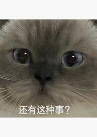 重生回强上男主的后一天 全文