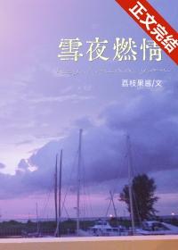 雪夜情人 作者漾梨