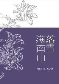 落雪满南山明开夜合免费阅读