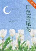 白色鸢尾花文案