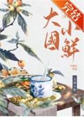 大国小民在线阅读