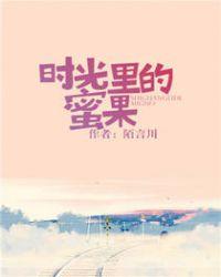 时光里的蜜果是什么歌