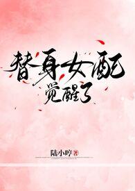 女配替身梗