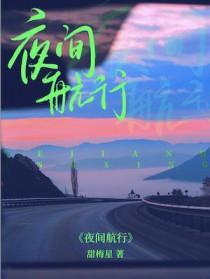 夜间飞行是指