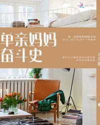 电视剧单亲妈妈的奋斗史