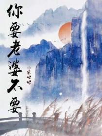 你要老婆不要免费阅读