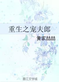 重生之宠夫