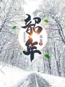 韶年by花曳具体讲什么