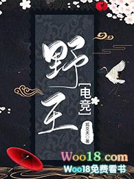 野王电竟