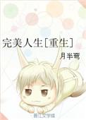 完美人生无弹窗免费阅读全文