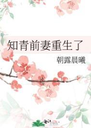 重生之知青要复婚