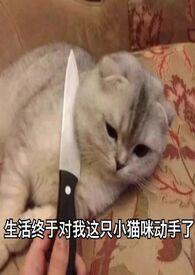 旧爱新欢by听久