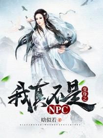 我真的不是npc一品