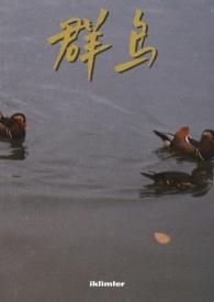 群鸟欢腾