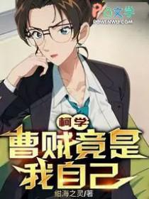 什么是曹贼