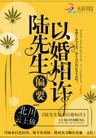 陆先生偏要以婚相许完结版