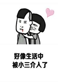 上位手册快穿