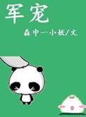 军宠排行榜前10名