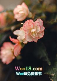 游园惊梦讲了什么意思