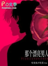 那个漂亮男人大结局