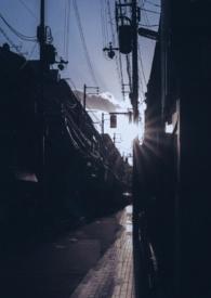 你是我的曙光英语怎么说