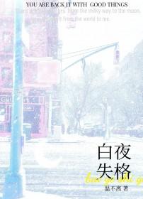 白夜执行