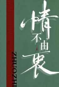 情不由衷txt