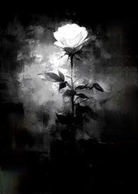 藏起来的喜欢