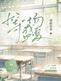 等一场盛夏实体书