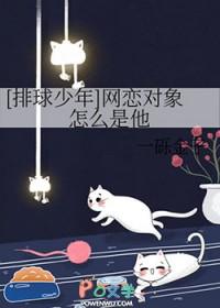 排球少年里的cp