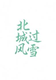 北城有雪 全文阅读