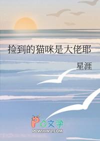 捡了一只大猫咪怎么养