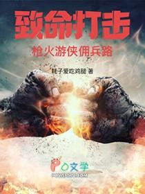 致命打击枪火游侠佣兵路 第1030章