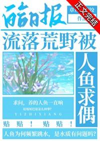 流落荒岛全部结果
