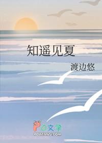 遥遥不知夏
